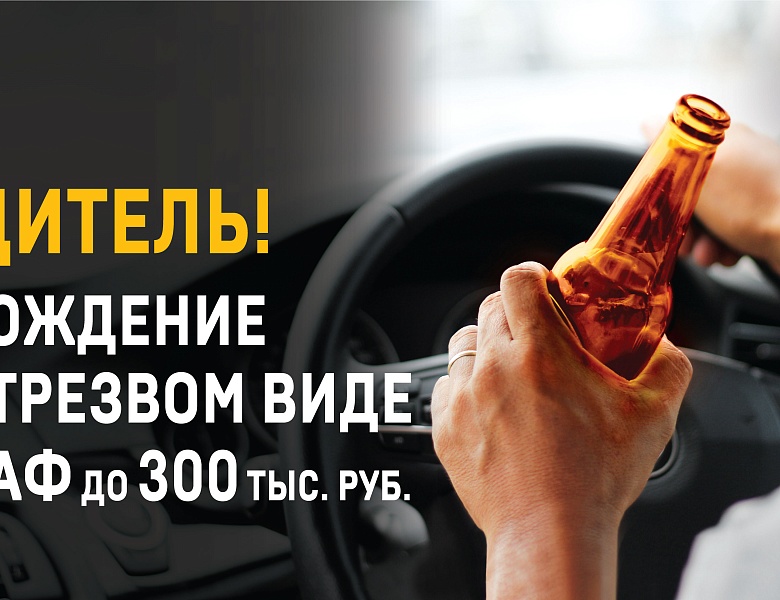 Влияние алкоголя на организм водителя
