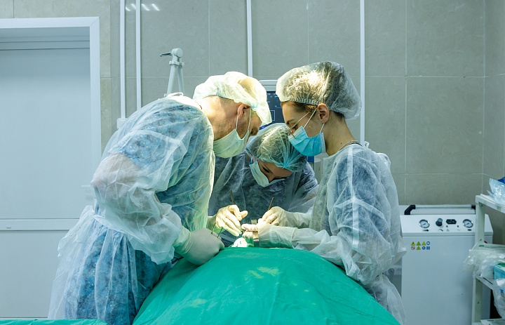 Люберецкие хирурги впервые за свою практику вытащили гельминта из щеки пациентки